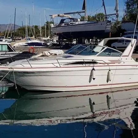 Insolite Dans Le Vieil * Antibes