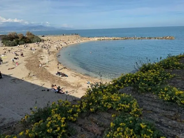 Insolite Dans Le Vieil *