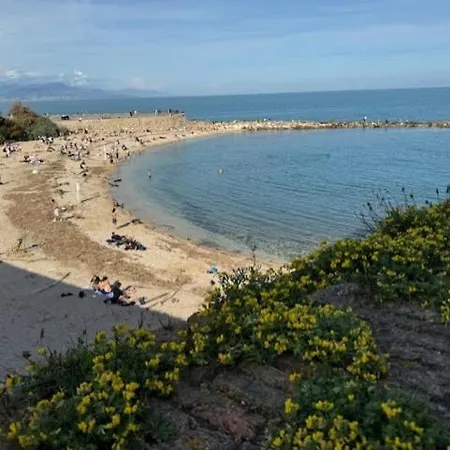 Insolite Dans Le Vieil *