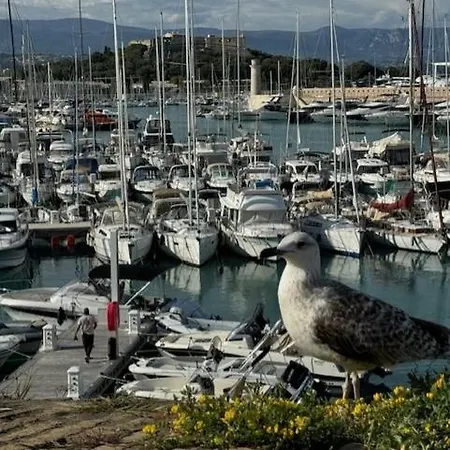 Insolite Dans Le Vieil Apartament