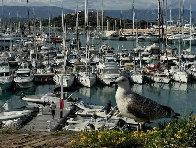 Insolite Dans Le Vieil Lejlighed