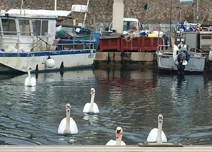 Daire Insolite Dans Le Vieil